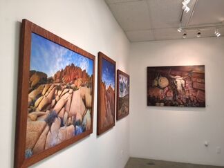 Eyes Of March, installation view