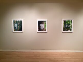 Into the Woods: Woodwork + Muse, installation view
