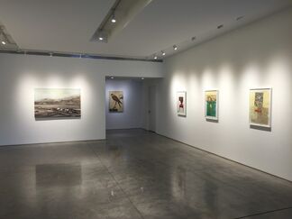 Tom Judd - Home on the Range, installation view