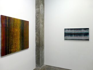 Sympathetic Strings, installation view