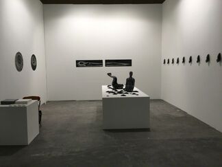 Galerie Liusa Wang at Art Stage Singapore 2016, installation view