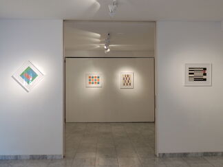Ary Brizzi: Visual Thinking, installation view
