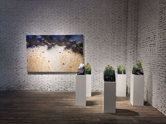 Earthscapes, installation view
