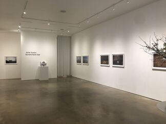 Somewhere Else, installation view