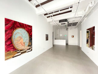 Reframing the Looking-Glass, installation view