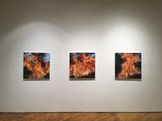 Jennifer Walton: Fire, Water, Ice & Snow, installation view