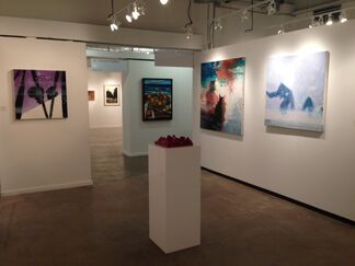 Paul Stolper Gallery at Dallas Art Fair 2015, installation view