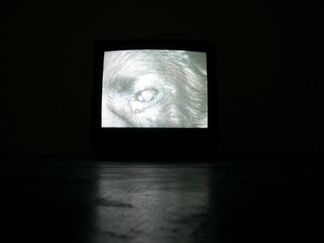 ARENA II, installation view