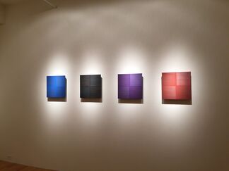 Susan Schwalb: Luminous Trace, installation view