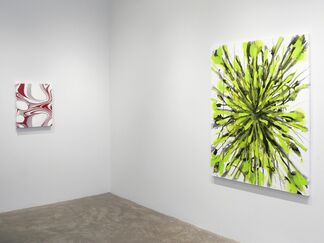 James Lecce, installation view