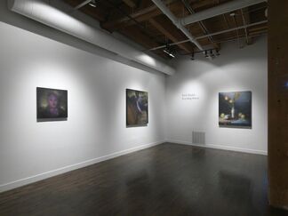 Zach Taylor: Everything Forever, installation view