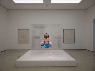 David Altmejd: The Vibrating Man, installation view