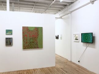 Green: The Impossible Color, installation view