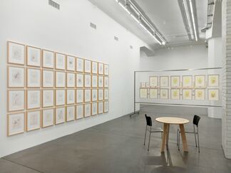 Dieter Roth. Paper, installation view