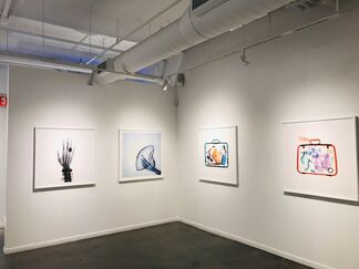 SIGHTS UNSEEN by David Arky at Fremin Gallery, installation view
