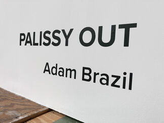 PALISSY OUT, installation view