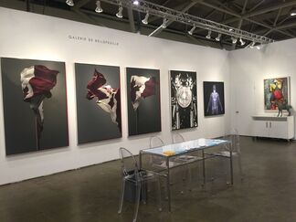 Galerie de Bellefeuille at Art Toronto 2017, installation view