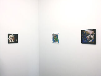 Skin: Painting On The Frame, installation view