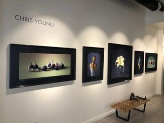 Chris Young, installation view