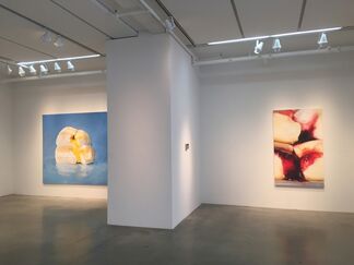 Emily Eveleth - New Paintings, installation view