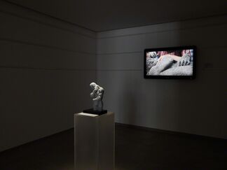 The Other, installation view