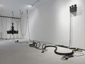 Jeanne Silverthorne, installation view
