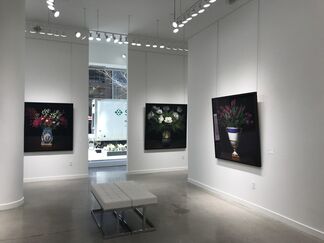 T.M. Glass, installation view