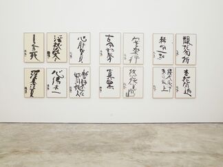 天上大风 Wind in the sky -  Araki Nobuyoshi and Zhu Xinjian, installation view