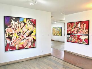 Vibrant Reflections, installation view
