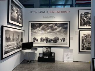 Hilton Asmus at Art Aspen 2019, installation view