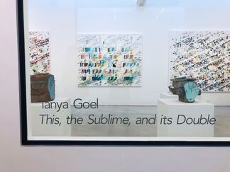 Tanya Goel: This, the Sublime, and its Double, installation view