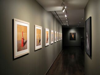 Joel Meyerowitz: Morandi, Cézanne and Me, installation view