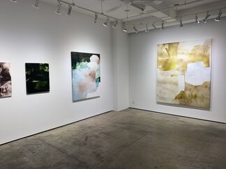 Eric Blum, installation view