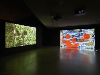 Close-Up – A New Generation of Film and Video Artists in the Netherlands, installation view