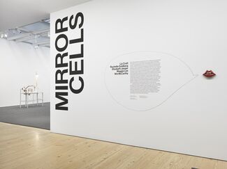 Mirror Cells, installation view