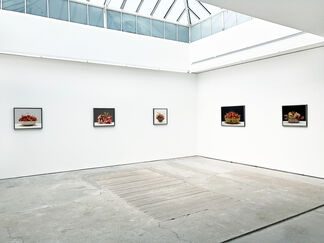 Luciano Ventrone | In Memoriam, installation view