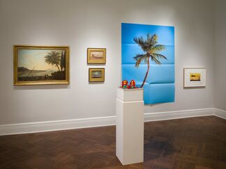 Palma, Palmiers, Palm., installation view