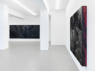 Jason Martin - Vertigo, installation view