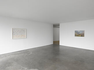 Spencer Finch: No Ordinary Blue, installation view