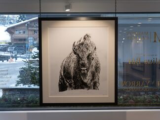 Gstaad Show, installation view