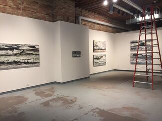 Elemental Forces and Other Work, installation view