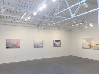 Bloom Chamber, installation view