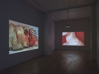 Isabelle Cornaro: Subterranean, installation view