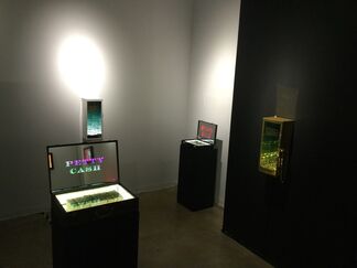 You Can't Eat Money, installation view