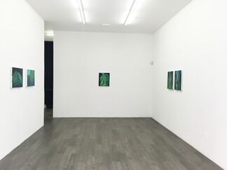 GERALD COLLINGS . NEW PAINTINGS, installation view