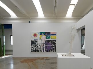 Sown by the roadside, installation view