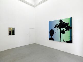 Glen Rubsamen - Gleaming and Inaccessible, installation view