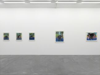 Carroll Dunham, Monotypes, installation view