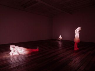 Doug Aitken, installation view