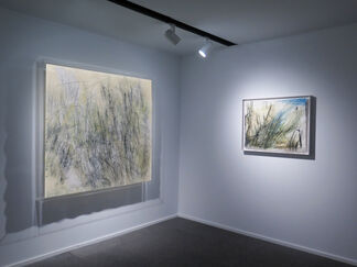 Wang Gongyi "Leaves of Grass", installation view